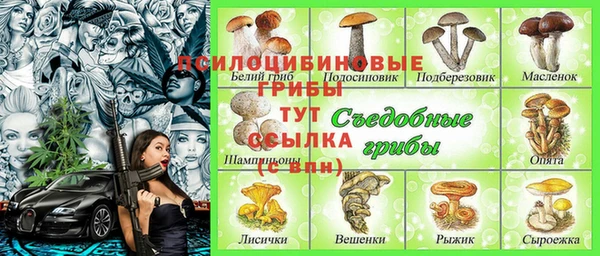 дурь Кинешма