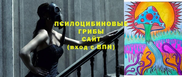 дурь Кинешма