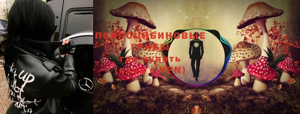 дурь Кинешма